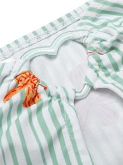 Sale Retro Stage 1950s Floral Stripe Swimsuit & Skirt Cover-Up Light Green