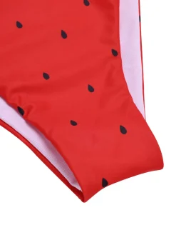 Hot Retro Stage 1960s Watermelon Bow Tie Bikini Set Red